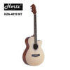 Hertz HZA-4010 NT Acoustic Guitar