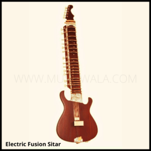 ELECTRIC FUSION SITAR