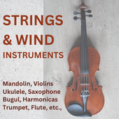 Strings & wind instruments (1)