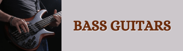 BASS GUITARS
