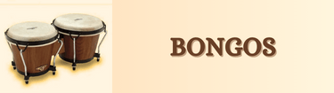 BONGOS