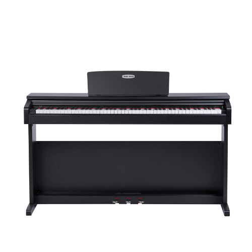 Pearl River Digital Piano V-05 Black – MusikWala
