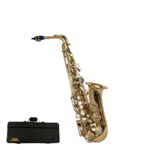 Techno TMS660 Gold Alto Saxophone Double Rib – MusikWala