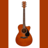 Yamaha FS80C Wood Brown Acoustic Guitar